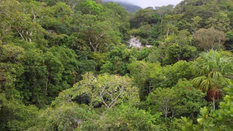Lush-jungle-forest-valley,-aerial-drone-view