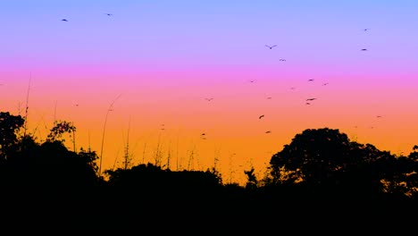 Muchas-Aves-Volando-Sobre-El-Bosque-En-El-Vibrante-Cielo-Crepuscular-En-La-Región-Amazónica