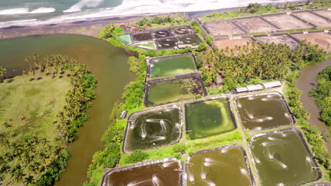 Shrimp-farming-ponds-next-to-river-on-Bali-coastline,-Indonesia