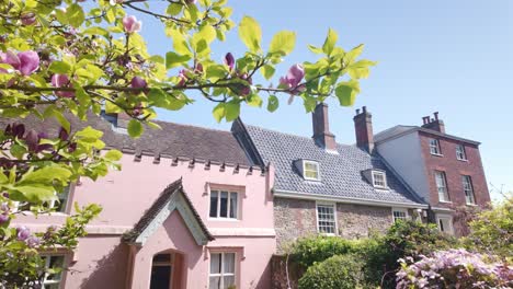 El-árbol-De-Magnolia-Primaveral-Florece-Fuera-De-Las-Pintorescas-Casas-Antiguas-De-Norwich