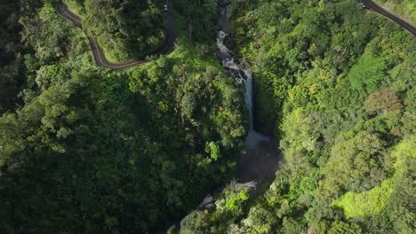 Lush-greenery-and-waterfall-along-the-road-to-hana-in-maui,-hawaii,-aerial-view
