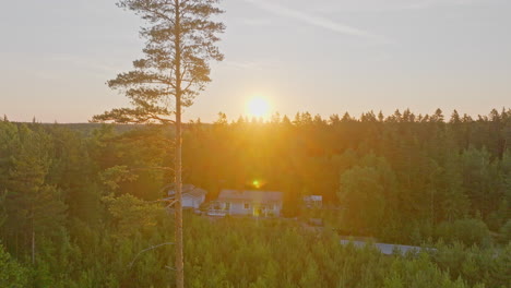 Luftaufnahme-Von-Einem-Autarken-Haus-Inmitten-Eines-Sonnenbeschienenen-Waldes