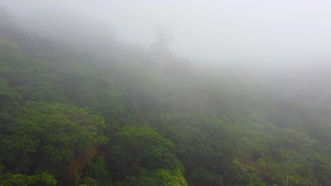 Misty-mountain-slopes-with-lush-greenery-in-Santa-Marta,-Colombia,-shrouded-in-fog