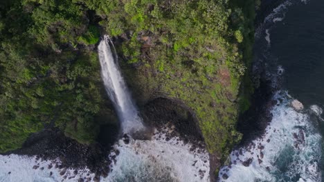 A-waterfall-cascading-into-the-ocean-along-maui's-lush-north-shore,-aerial-view
