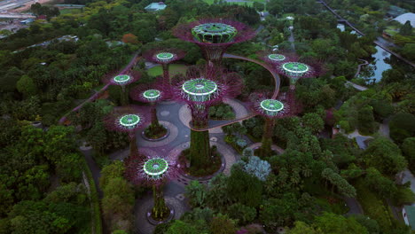 Blick-Von-Oben-Auf-Den-Supertree-Grove-In-Den-Gardens-By-The-Bay-In-Singapur