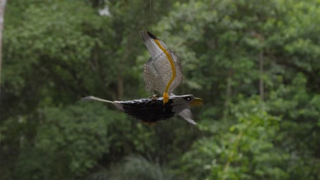 Un-Primer-Plano-De-Un-Pájaro-De-Juguete-Suspendido-De-Una-Cuerda,-Diseñado-Para-Imitar-El-Vuelo