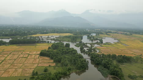 Vietnam-Sumpfland-In-Lang-Co-Mit-Nebligen-Bergen-Im-Hintergrund