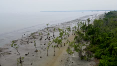 Mangroves-on-a-sandy-Kuakata-beach-in-Bangladesh-during-low-tide,-hazy-weather