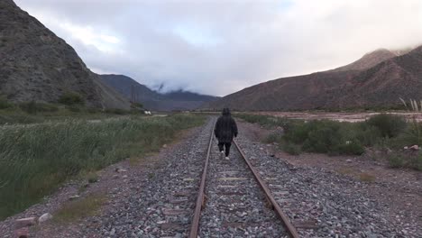 A-person-walks-on-train-tracks-in-arid-area