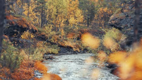 Río-De-Montaña-Poco-Profundo-Con-Bancos-Rocosos-En-El-Colorido-Bosque-Otoñal