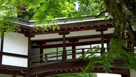 Typischer-Holztempel-Im-Tiefen-üppigen-Japanischen-Wald