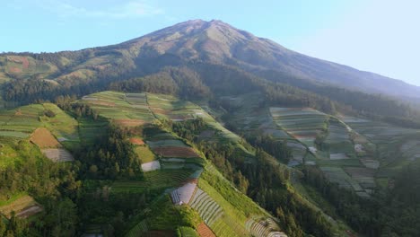 Hermosos-Campos,-Bosques-Y-Montes-Sumergidos-En-Indonesia,-Vista-Aérea-De-Drones