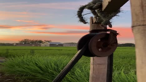 Vertical-video-of-sunset-time-at-the-farm-land-in-a-tropical-country