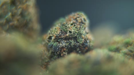 A-macro-detailed-shot-of-a-cannabis-plant,-hybrid-orange-strains,-rotating-sativa-,marijuana-flower,-Full-HD,-super-slow-motion,-120-fps,-professional-studio-lighting,-pull-out-movement