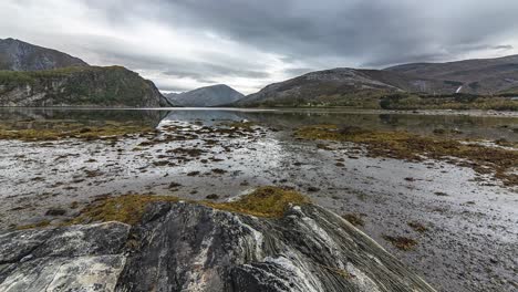 The-exposed-sandy-bottom-of-the-fjord-at-the-low-tide-covered-with-seaweed-and-kelp-in-a-timelapse-video
