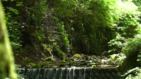 Atemberaubende-Sommerlandschaft-Am-Fluss-Mit-Wasserfall-In-üppiger-Grüner-Waldnatur