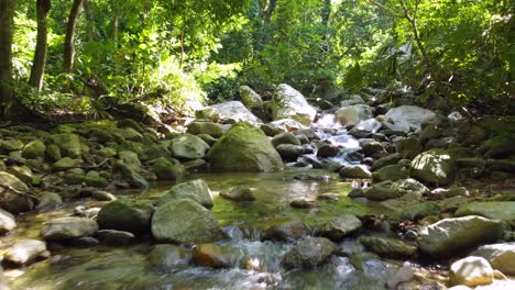 Stream-flows-over-rocks-in-lush-Santa-Marta-jungle,-sunlight-filtering-through-the-canopy,-tranquil-nature-scene