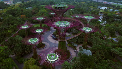 Vista-Aérea-De-Supertree-Grove-En-Los-Jardines-Junto-A-La-Bahía-En-La-Región-Central-De-Singapur.
