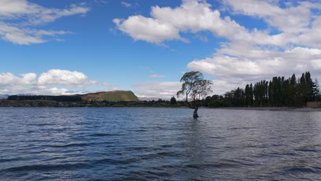 Fliegen-In-Richtung-Der-Wanaka-Weide-Ein-Einsamer-Baum-Wächst-In-Der-Mitte-Des-Lake-Wanaka