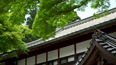 Beautiful-cinematic-dolly-over-Japanese-rooftop-with-green-trees