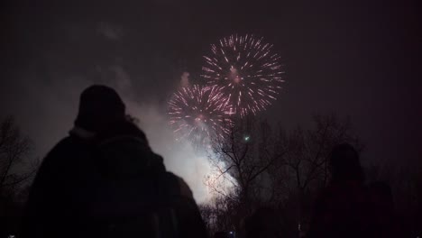 Menschen,-Die-Sich-Gegen-Den-Nachthimmel-Abheben,-Beobachten-Ein-Hell-Funkelndes-Feuerwerk-Zwischen-Den-Bäumen