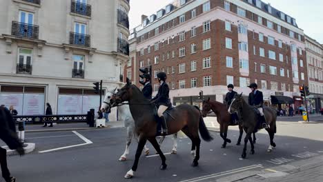 Royal-Horses-Taking-a-Morning-Walk-Along-Buckingham-Gate-in-London,-United-Kingdom---Tracking-Shot