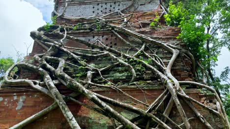 Tilt-up-of-a-Prasat-Pram-tower-at-Koh-Ker-temple,-UNESCO-heritage-site,-roots-enveloping-architecture,-Cambodia