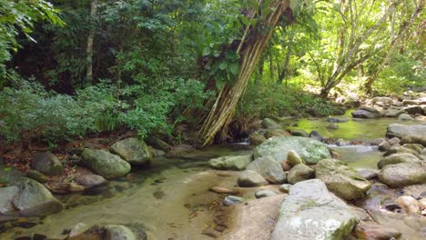 Lush-forest-stream-in-Santa-Marta,-Colombia-with-clear-water-and-rocks,-serene-nature-scene