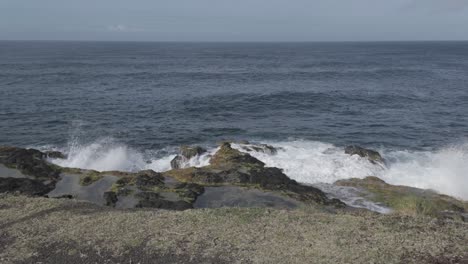 Wild-grass-swaying-gently-with-ocean-and-cliffs-in-the-background,-captured-in-Mosteiros,-Sao-Miguel,-D-log-for-rich-colors