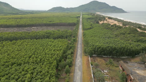 Scooter-De-Seguimiento-De-Drones-Por-Una-Carretera-Vacía-Cerca-De-Lang-Co-En-Vietnam-A-Toda-Velocidad-60-Fps