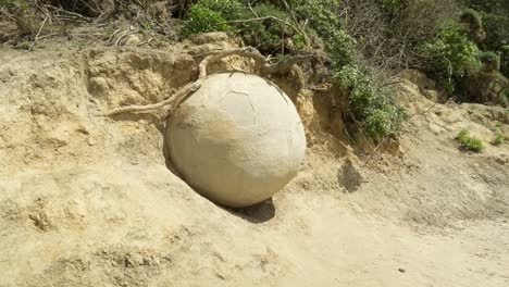 Explorando-Las-Rocas-Moeraki-En-La-Playa-De-Koekohe,-Cerca-De-Dunedin.