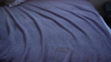 bloodstains-on-sheet.-Blue-bedding