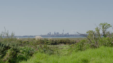 Auckland-city-skyline-in-the-distance-on-a-sunny-winters-day,-New-Zealand