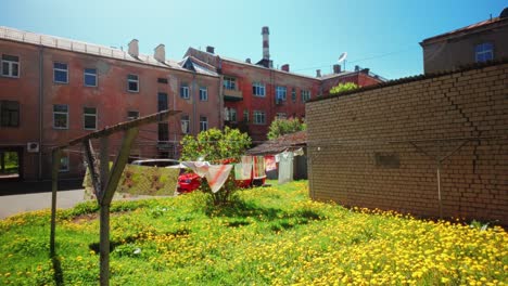 Ropa-Colorida-Colgada-Frente-A-Casas-Rojas-Secándose-Sobre-Un-Campo-De-Flores-Amarillas-Movimiento-Pov-Hacia-Adelante