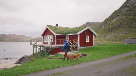 SLOW-MOTION-,-A-young-male-tourist-in-a-blue-jacket-and-his-golden-retriever-dog-walk-in-front-of-a-traditional-red-rorbu-house-in-the-Lofoten-Islands,-Norway