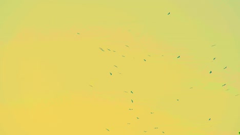 A-Flock-of-Birds-Soaring-Against-the-Backdrop-of-a-Yellow-hued-Sky---Low-Angle-Shot