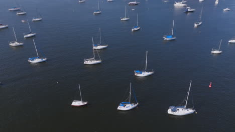 Paso-Elevado-Aéreo-Muy-Lento-Y-Cercano-De-Veleros-Blancos-Anclados-En-La-Bahía-De-Botafogo-En-Río-De-Janeiro