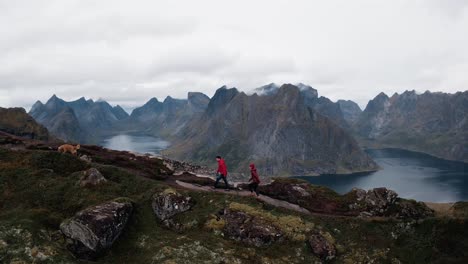 Aerial-Side-view-of-a-couple-and-their-golden-retriever-dog-hiking-the-Reinebringen-Mountain,-Reine,-Lofoten-Islands,-Norway