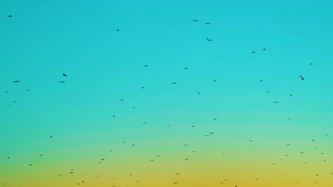 Viele-Zugvögel-Fliegen-Im-Blaugrünen,-Orangefarbenen-Abendhimmel