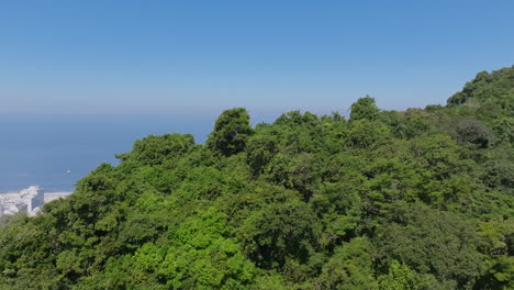 Schnelle-Drohnenaufnahmen,-Die-über-Bäume-Fliegen,-Um-Den-Strand-Von-Copocbana-Tagsüber-In-Rio-De-Janeiro-Freizugeben