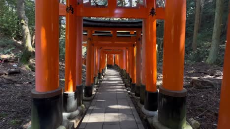 Walking-forward-through-orange-gates-of-Fushimi-Inari-Taisha