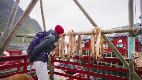 A-young-female-tourist-smells-the-drying-salmon-on-a-rack-in-the-beautiful-fisher-village-of-Å,-the-Lofoten-Islands,-Norway