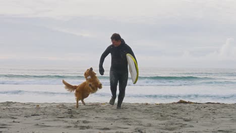 SLOW-MOTION-A-young-male-surfer-in-a-wetsuit-running-towards-the-camera-while-playing-with-his-golden-retriever-dog-in-Unstad-surf-beach,-Lofoten-Islands,-Norway