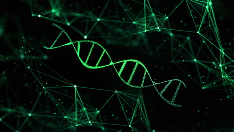 Dna-Helix-Struktur-Rotierend