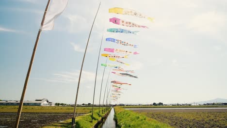 Koinobori-carp-streamers-blowing-in-the-wind-at-Children's-Day-during-Golden-Week-in-Japan