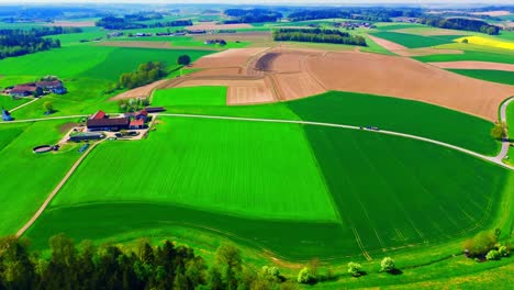 Luftaufnahme-Eines-Riesigen-Ackerlandes-Mit-Grünen-Feldern-Und-Ländlichen-Häusern