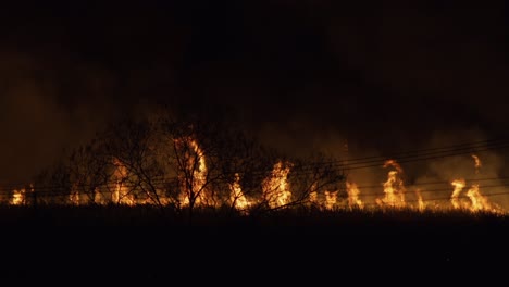 Sugar-cane-field-burns-with-high-flames,-releasing-thick-smoke-into-the-air