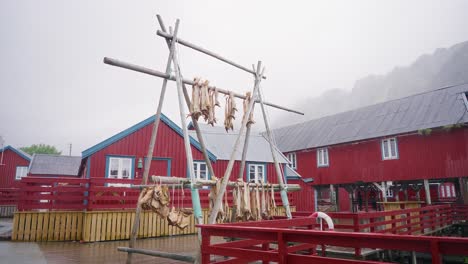 footage-of-a-salmon-drying-rack-in-the-beautiful-fisher-village-of-Å-on-a-rainy-day-in-the-Lofoten-Islands,-Norway