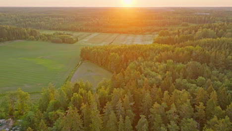 Luftaufnahme:-Dramatischer-Sonnenuntergang-über-Den-Wäldern-Und-Ländlichen-Feldern-In-Skandinavien