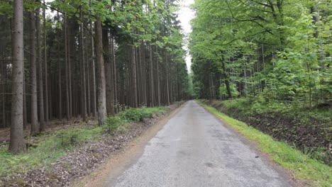 Reisen-Abgelegene-Ruhige-Landschaft-Schmale-Straße,-Dichtes-Waldgebiet